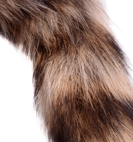 Fox Tail Anal Plug  4