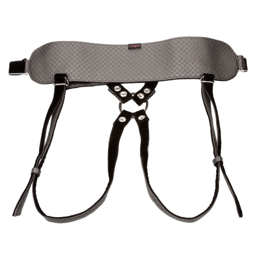 Her Royal Harness the Regal Princess - Pewter  5