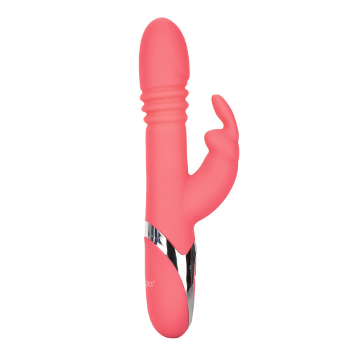Enchanted Exciter  4
