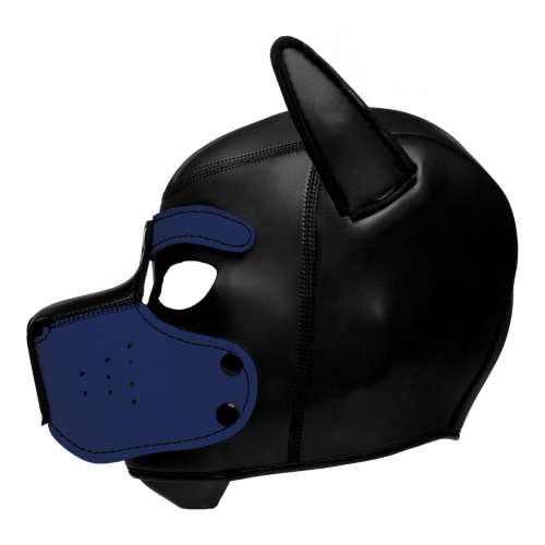 Spike Neoprene Puppy Hood - Blue  3
