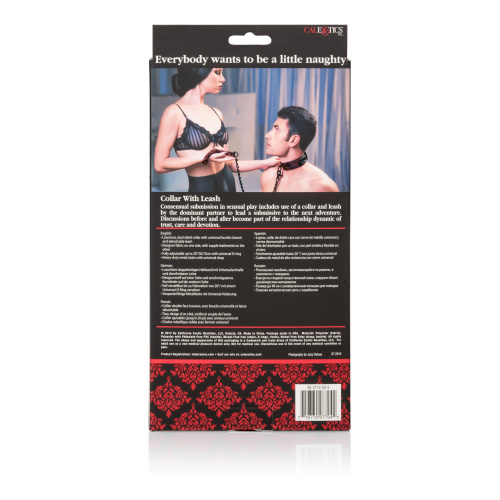 SCANDAL COLLAR WITH LEASH