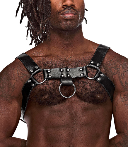 Aries Leather Harness - One Size - Black  3