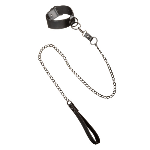Euphoria Collection Collar With Chain Leash -  Black  4