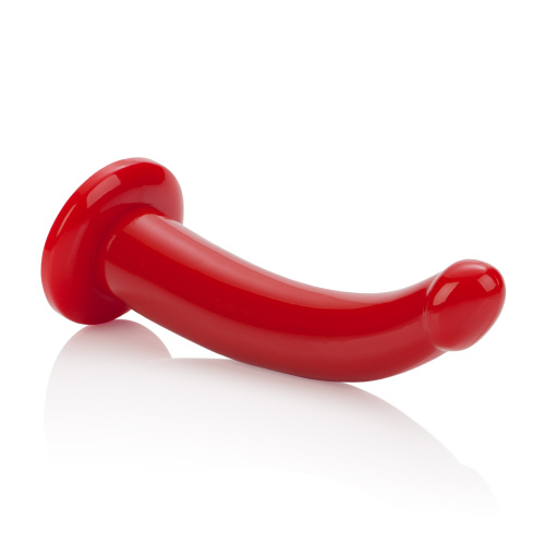 Sophia's Red Rider  4