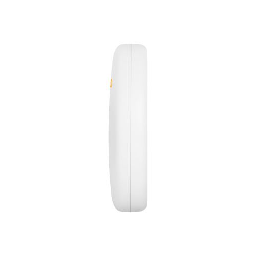 Creamsicle  5