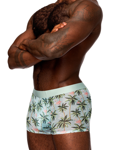 Sheer Prints - Seamless Sheer Short - Medium -  Flamingo  4