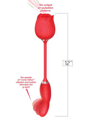 Wild Rose Come Hither and Suction - Red  3
