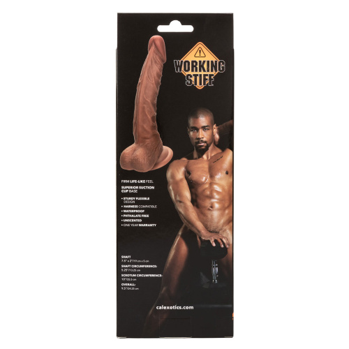 Working Stiff the Personal Trainer 7.5" - Brown  3
