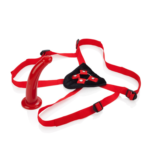 Sophia's Red Rider  3