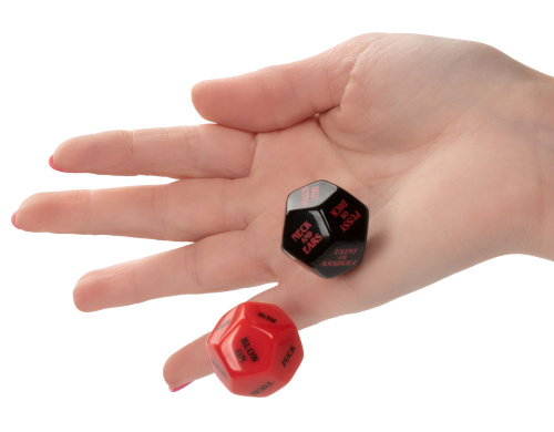 NAUGHTY BITS ROLL PLAY NAUGHTY DICE SET  2