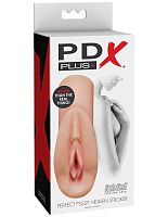 Perfect Pussy Heaven Stroker