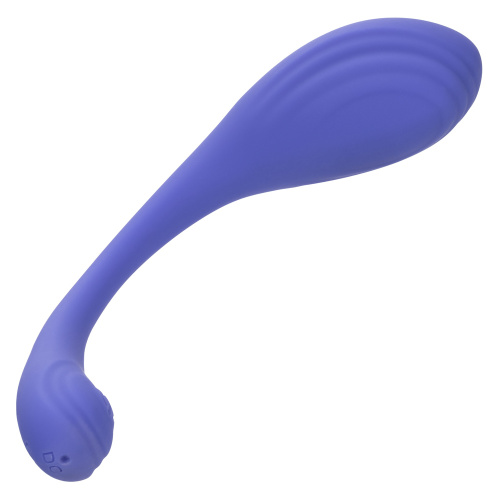 Calexotics Connect Kegel Exerciser - Periwinkle  4