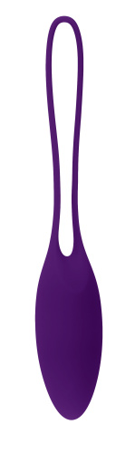 Playboy Pleasure - Put in Work - Kegel Balls Set - Acai Ombre  2