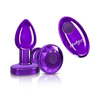 Vibrating Purple Metal Remote Plug - Small