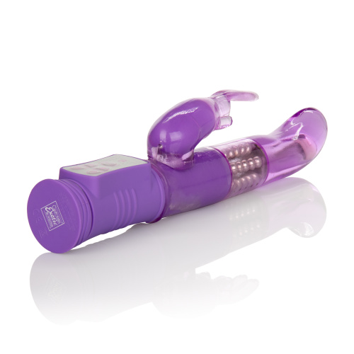 Shanes World Jack Rabbit G - Purple  2