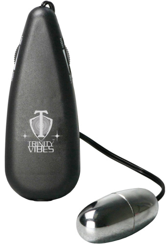 Silver Vibrating Egg  2
