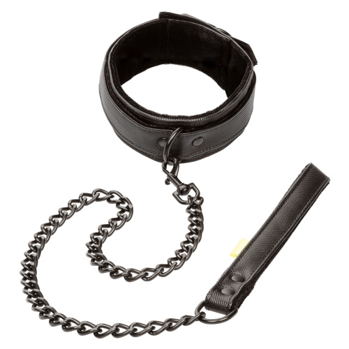BOUNDLESS COLLAR & LEASH  5