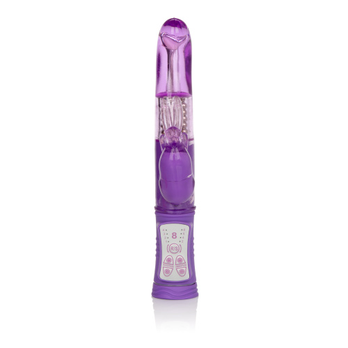 Shanes World Jack Rabbit G - Purple  3