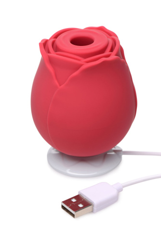 The Rose Lover's Gift Box Bloomgasm - Red  3