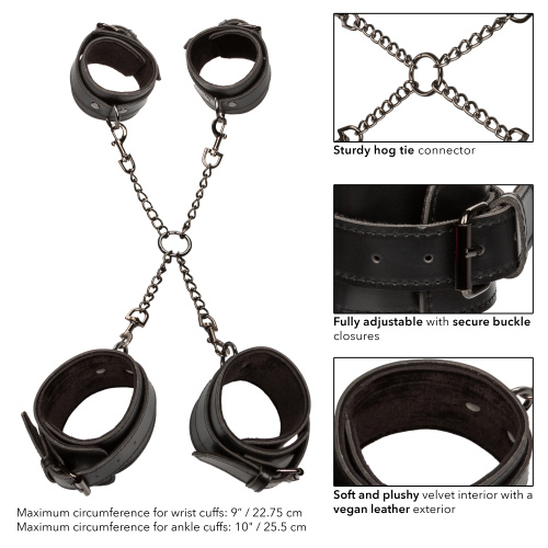 Euphoria Collection Hog Tie - Black  4