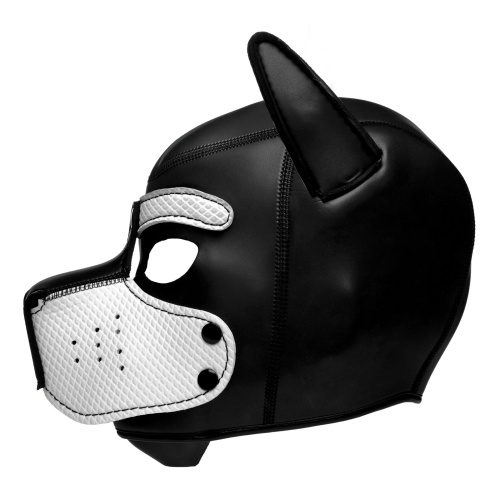Spike Neoprene Puppy Hood - White  3