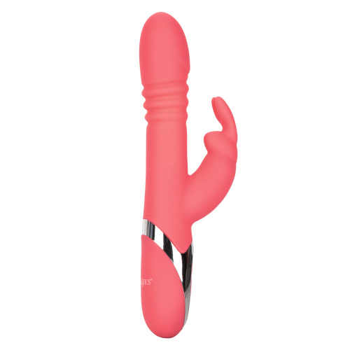 Enchanted Exciter  5