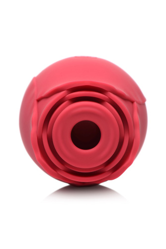 The Rose Lover's Gift Box Bloomgasm - Red  2