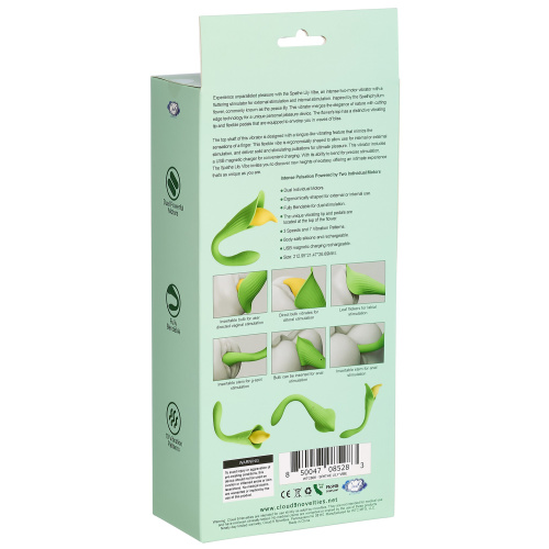 Spathe Lily Vibe Green  3