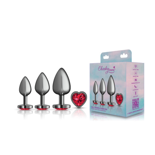 Red Heart Gem Anal Trainer Kit - Gunmetal  4