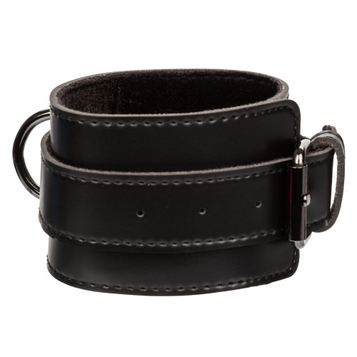 Euphoria Collection Hog Tie - Black  3