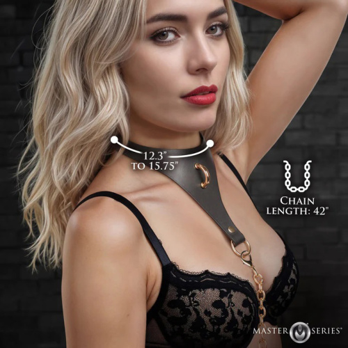 Captivate Collar With Body Chain - Black  4