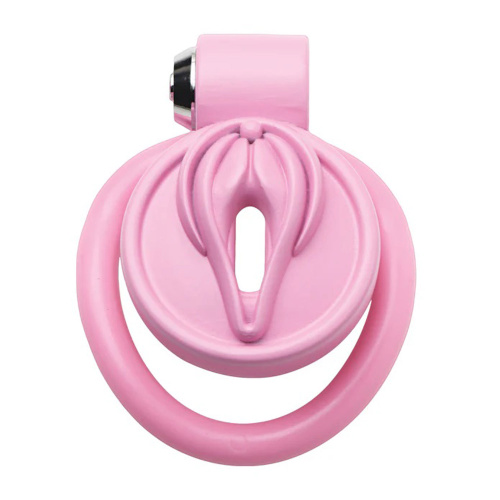Pussification Vulva Chastity Cage - Pink  2