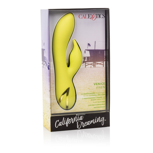 California Dreaming Venice Vixen  4