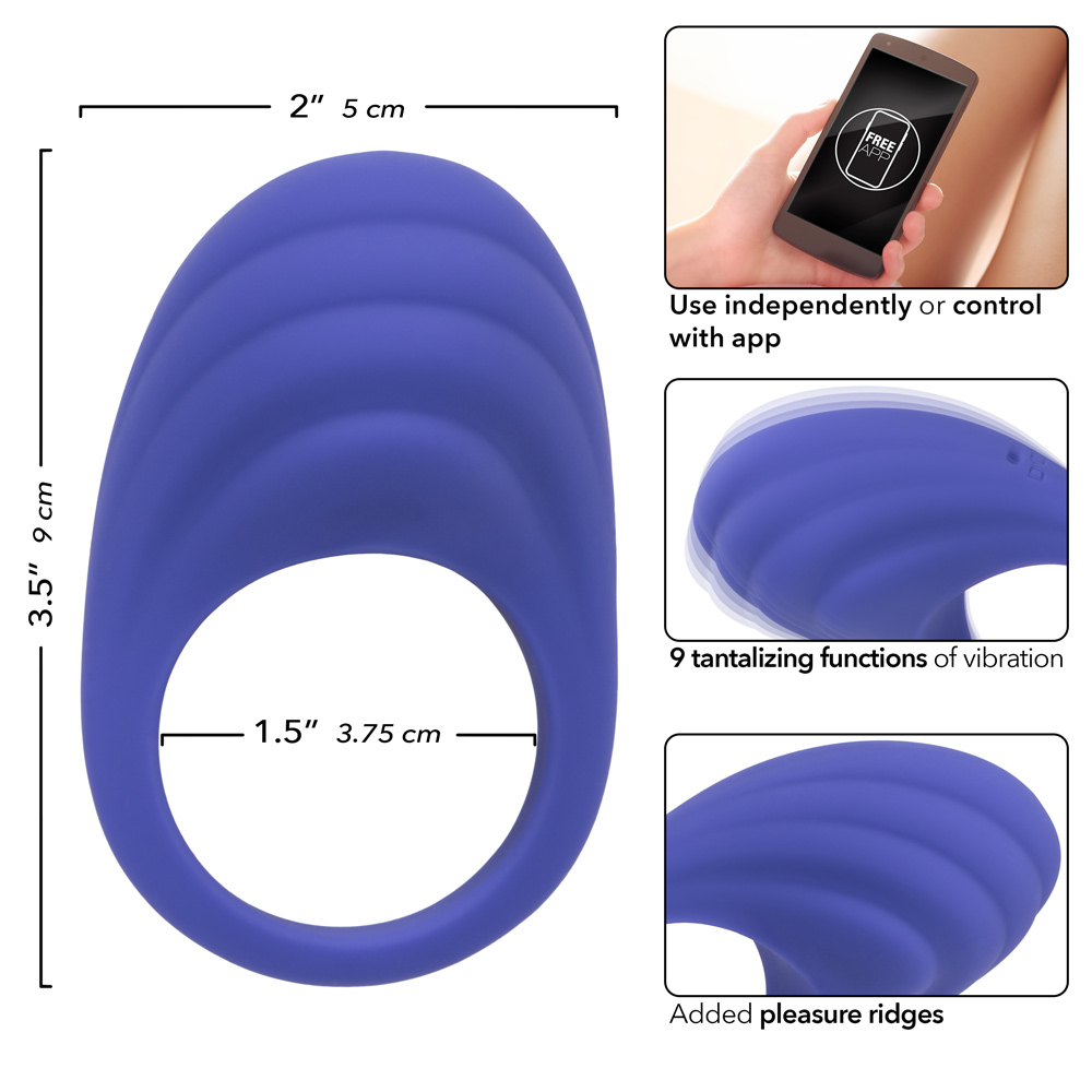 Calexotics Connect Couples Ring - Periwinkle - Image 3